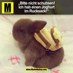 „Bitte nicht schubsen!
Ich hab einen Joghurt
im Rucksack!“
(BILD)