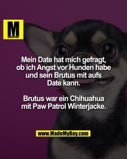 Mein Date hat mich gefragt,
ob ich Angst vor Hunden habe
und sein Brutus mit aufs
Date kann.

Brutus war ein Chihuahua
m