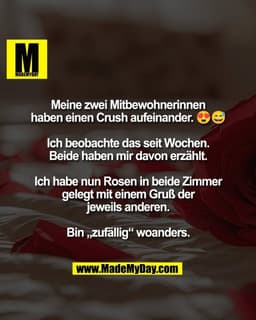 Meine zwei Mitbewohnerinnen
haben einen Crush aufeinander. 😍😅

Ich beobachte das seit Wochen.
Beide haben mir davon er