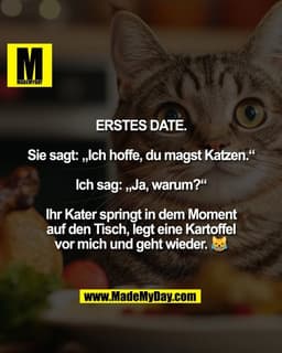 Erstes Date.

Sie sagt: „Ich hoffe, du magst Katzen.“

Ich sag: „Ja, warum?“

Ihr Kater springt in dem Moment
auf den Ti