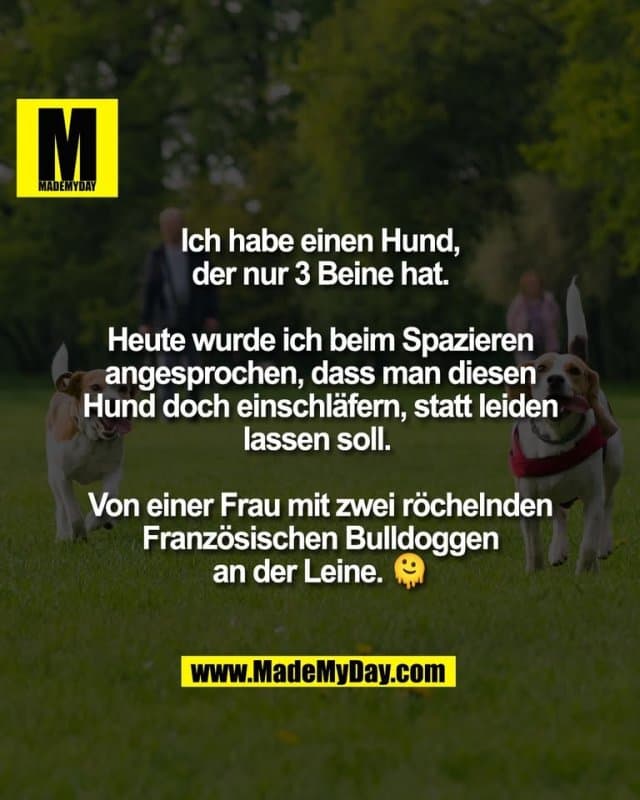 Ich habe einen Hund,
der nur 3 Beine hat.
Heute wurde ich beim Spazieren
angesprochen, dass man diesen
Hund doch einschläfern, statt leiden
lassen soll.
Von einer Frau mit zwei röchelnden
Französischen Bulldoggen
an der Leine. 🫠 - Inspiration, Zitate & Sprüche | MadeMyDay | Jetzt entdecken & teilen Ich habe einen Hund,
der nur 3 Beine hat.
Heute wurde ich beim Spazieren
angesprochen, dass man diesen
Hund doch einschläfern, statt leiden
lassen soll.
Von einer Frau mit zwei röchelnden
Französischen Bulldoggen
an der Leine. 🫠 - Inspirierendes Zitat mit Bild