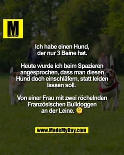 Ich habe einen Hund,
der nur 3 Beine hat.

Heute wurde ich beim Spazieren
angesprochen, dass man diesen
Hund doch einsch