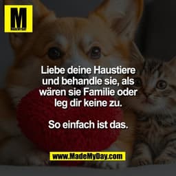 Liebe deine Haustiere
und behandle sie, als
wären sie Familie oder
leg dir keine zu.
So einfach ist das.