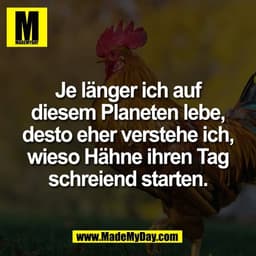 Je länger ich auf
diesem Planeten lebe,
desto eher verstehe ich,
wieso Hähne ihren Tag
schreiend starten.