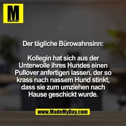 Der tägliche Bürowahnsinn:

Kollegin hat sich aus der
Unterwolle ihres Hundes einen
Pullover anfertigen lassen, der so
k