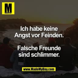 Ich habe keine
Angst vor Feinden.

Falsche Freunde
sind schlimmer.