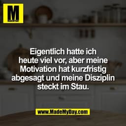 Eigentlich hatte ich
heute viel vor, aber meine
Motivation hat kurzfristig
abgesagt und meine Disziplin
steckt im Stau.