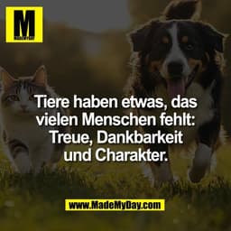 Tiere haben etwas, das
vielen Menschen fehlt:
Treue, Dankbarkeit
und Charakter.