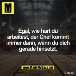 Egal, wie hart du
arbeitest, der Chef kommt
immer dann, wenn du dich
gerade hinsetzt.

Threads: felis.lhm