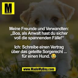Meine Freunde und Verwandten:
„Boa, als Anwalt hast du sicher
voll die spannenden Fälle!“

Ich: Schreibe einen Vertrag
ü