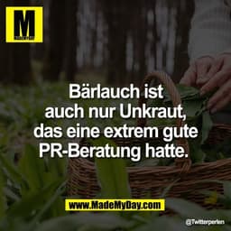 Bärlauch ist
auch nur Unkraut,
das eine extrem gute
PR-Beratung hatte.