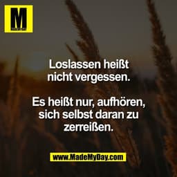 Loslassen heißt
nicht vergessen.

Es heißt nur, aufhören,
sich selbst daran zu
zerreißen.