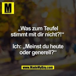„Was zum Teufel
stimmt mit dir nicht?!“ 

Ich: „Meinst du heute
oder generell?“