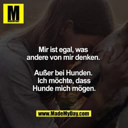 Mir ist egal, was 
andere von mir denken. 

Außer bei Hunden. 
Ich möchte, dass
Hunde mich mögen.
