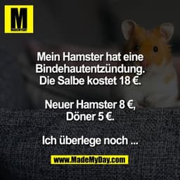 Mein Hamster hat eine
Bindehautentzündung.
Die Salbe kostet 18 €.

Neuer Hamster 8 €,
Döner 5 €.

Ich überlege noch ...