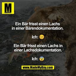 Ein Bär frisst einen Lachs 
in einer Bärendokumentation. 

Ich: 😊

Ein Bär frisst einen Lachs in
einer Lachsdokumentati