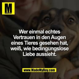 Wer einmal echtes
Vertrauen in den Augen
eines Tieres gesehen hat,
weiß, wie bedingungslose
Liebe aussieht.