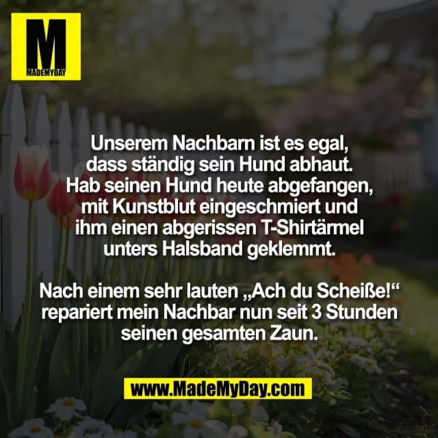 Unserem Nachbarn ist es egal,
dass ständig sein Hund abhaut.
Hab seinen Hund heute abgefangen,
mit Kunstblut eingeschmiert und
ihm einen abgerissen T-Shirtärmel
unters Halsband geklemmt.
Nach einem sehr lauten „Ach du Scheiße!“
repariert mein Nachbar nun seit 3 Stunden
seinen gesamten Zaun. - Inspiration, Zitate & Sprüche | MadeMyDay | Jetzt entdecken & teilen Unserem Nachbarn ist es egal,
dass ständig sein Hund abhaut.
Hab seinen Hund heute abgefangen,
mit Kunstblut eingeschmiert und
ihm einen abgerissen T-Shirtärmel
unters Halsband geklemmt.
Nach einem sehr lauten „Ach du Scheiße!“
repariert mein Nachbar nun seit 3 Stunden
seinen gesamten Zaun. - Inspirierendes Zitat mit Bild