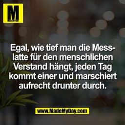 Egal, wie tief man die Mess-
latte für den menschlichen
Verstand hängt, jeden Tag
kommt einer und marschiert
aufrecht dr