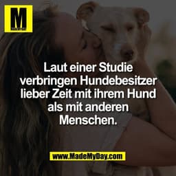 Laut einer Studie
verbringen Hundebesitzer
lieber Zeit mit ihrem Hund
als mit anderen
Menschen.