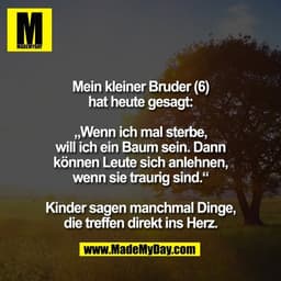Mein kleiner Bruder (6)
hat heute gesagt:

„Wenn ich mal sterbe,
will ich ein Baum sein. Dann
können Leute sich anlehnen