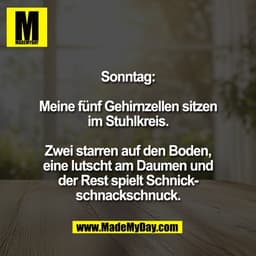 Sonntag:

Meine fünf Gehirnzellen sitzen
im Stuhlkreis.

Zwei starren auf den Boden,
eine lutscht am Daumen und
der Rest