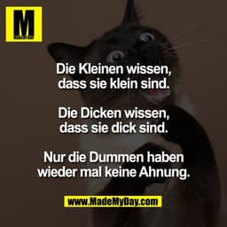 Die Kleinen wissen,
dass sie klein sind.

Die Dicken wissen,
dass sie dick sind.

Nur die Dummen haben
wieder mal keine 