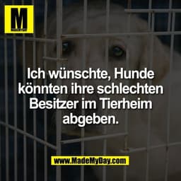 Ich wünschte, Hunde
könnten ihre schlechten
Besitzer im Tierheim
abgeben.