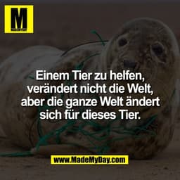 Einem Tier zu helfen,
verändert nicht die Welt,
aber die ganze Welt ändert
sich für dieses Tier.