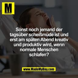 Sonst noch jemand der
tagsüber scheißmüde ist und
erst am späten Abend kreativ
und produktiv wird, wenn
normale Menschen