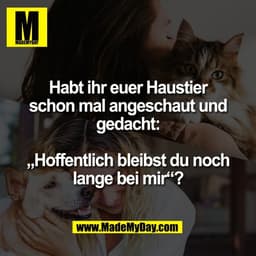 Habt ihr euer Haustier
schon mal angeschaut und
gedacht:

„Hoffentlich bleibst du noch
lange bei mir“?