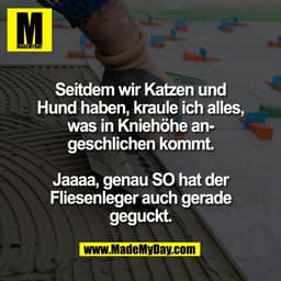 Seitdem wir Katzen und
Hund haben, kraule ich alles,
was in Kniehöhe an-
geschlichen kommt.

Jaaaa, genau SO hat der
Fli