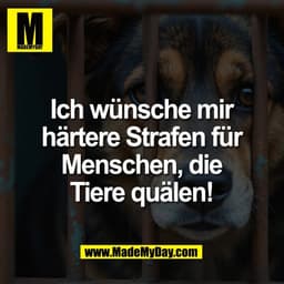 Ich wünsche mir
härtere Strafen für
Menschen, die
Tiere quälen!