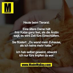 Heute beim Tierarzt:

Eine ältere Dame hält
ihre Katze ganz fest, als die Ärztin
sagt, es wird Zeit fürs Einschläfern.


