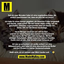 Seit ein paar Monaten habe ich eine zugelaufene Katze, die
einfach beschlossen hat, dass sie jetzt bei mir wohnt.

Ich h