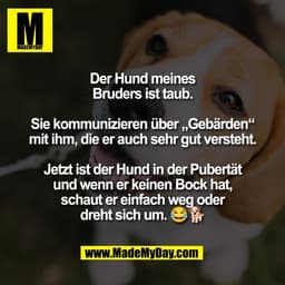 Der Hund meines
Bruders ist taub.

Sie kommunizieren über „Gebärden“
mit ihm, die er auch sehr gut versteht.

Jetzt ist 