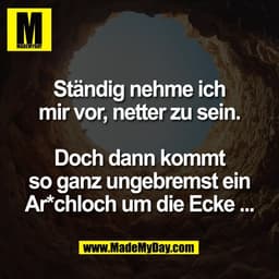 Ständig nehme ich
mir vor, netter zu sein.

Doch dann kommt
so ganz ungebremst ein
Ar*chloch um die Ecke ...