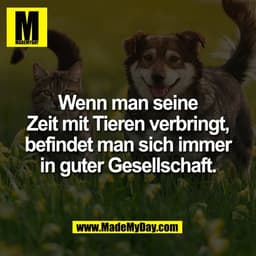 Wenn man seine
Zeit mit Tieren verbringt,
befindet man sich immer
in guter Gesellschaft.