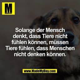 Solange der Mensch
denkt, dass Tiere nicht
fühlen können, müssen
Tiere fühlen, dass Menschen
nicht denken können.