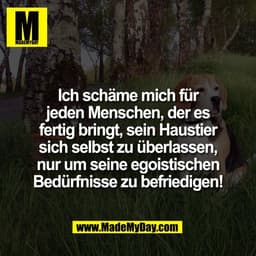 Ich schäme mich für
jeden Menschen, der es
fertig bringt, sein Haustier
sich selbst zu überlassen,
nur um seine egoistis