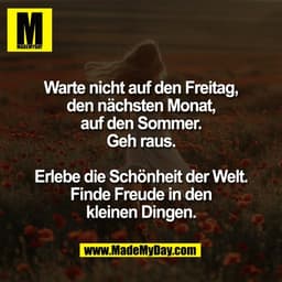 Warte nicht auf den Freitag,
den nächsten Monat,
auf den Sommer.
Geh raus.

Erlebe die Schönheit der Welt.
Finde Freude 