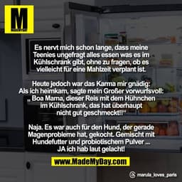 Es nervt mich schon lange, dass meine
Teenies ungefragt alles essen was es im
Kühlschrank gibt, ohne zu fragen, ob es
vi
