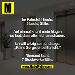Im Fahrstuhl heute:
5 Leute, Stille.

Auf einmal knurrt mein Magen
so laut, dass alle mich anschauen.

Ich will witzig s