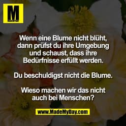 Wenn eine Blume nicht blüht,
dann prüfst du ihre Umgebung
und schaust, dass ihre
Bedürfnisse erfüllt werden.

Du beschul