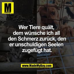 Wer Tiere quält, 
dem wünsche ich all 
den Schmerz zurück, den
er unschuldigen Seelen 
zugefügt hat.