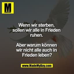 Wenn wir sterben, 
sollen wir alle in Frieden 
ruhen. 

Aber warum können 
wir nicht alle auch in 
Frieden leben?