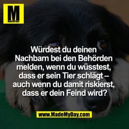 Würdest du deinen 
Nachbarn bei den Behörden 
melden, wenn du wüsstest, 
dass er sein Tier schlägt – 
auch wenn du damit