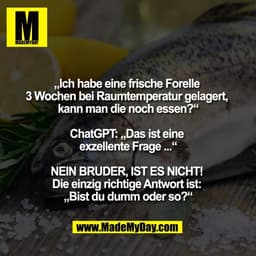„Ich habe eine frische Forelle 
3 Wochen bei Raumtemperatur gelagert, 
kann man die noch essen?“

ChatGPT: „Das ist eine
