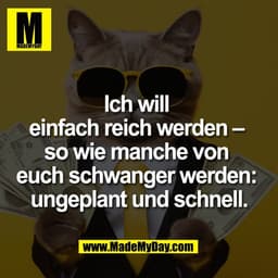 Ich will 
einfach reich werden – 
so wie manche von 
euch schwanger werden: 
ungeplant und schnell.