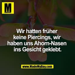 Wir hatten früher 
keine Piercings, wir 
haben uns Ahorn-Nasen 
ins Gesicht geklebt.
